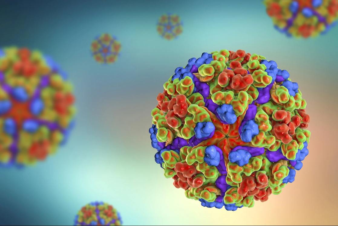 Chikungunya Resurgence: Transmission Risks, Global Outlook, and Protective Strategies