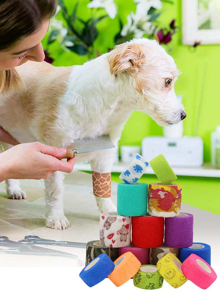 Summer Travel Safety: Why a Pet First Aid Kit is Essential for Road Trips in 2026